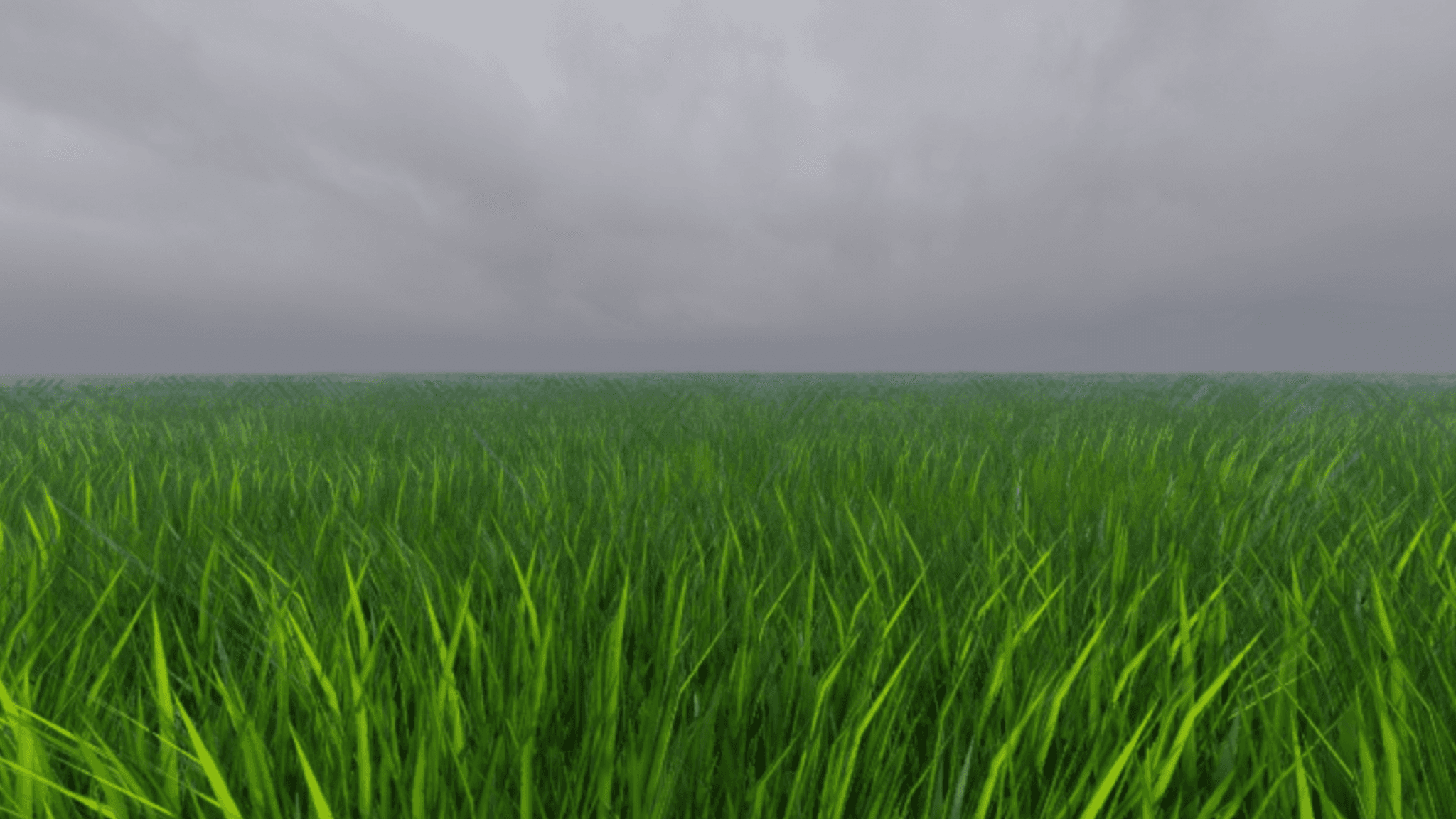 Interactive Grass 🌿